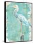 Coastal Egret II V2-Sue Schlabach-Framed Stretched Canvas