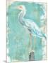 Coastal Egret II V2-Sue Schlabach-Mounted Art Print