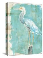 Coastal Egret II-Sue Schlabach-Stretched Canvas