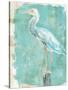 Coastal Egret II-Sue Schlabach-Stretched Canvas