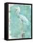 Coastal Egret II-Sue Schlabach-Framed Stretched Canvas