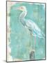 Coastal Egret II-Sue Schlabach-Mounted Art Print