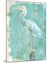 Coastal Egret II-Sue Schlabach-Mounted Art Print