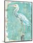 Coastal Egret II-Sue Schlabach-Mounted Art Print