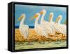 Coastal Flock I-Linda Baliko-Framed Stretched Canvas