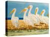 Coastal Flock I-Linda Baliko-Stretched Canvas