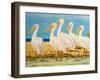 Coastal Flock I-Linda Baliko-Framed Art Print