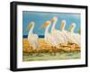 Coastal Flock I-Linda Baliko-Framed Premium Giclee Print