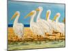 Coastal Flock I-Linda Baliko-Mounted Premium Giclee Print