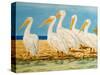 Coastal Flock I-Linda Baliko-Stretched Canvas