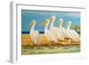 Coastal Flock I-Linda Baliko-Framed Art Print