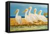 Coastal Flock I-Linda Baliko-Framed Stretched Canvas