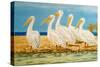 Coastal Flock I-Linda Baliko-Stretched Canvas