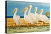 Coastal Flock I-Linda Baliko-Stretched Canvas