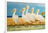 Coastal Flock I-Linda Baliko-Framed Art Print