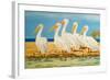 Coastal Flock I-Linda Baliko-Framed Art Print