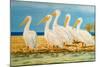 Coastal Flock I-Linda Baliko-Mounted Art Print