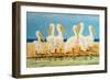 Coastal Flock II-Linda Baliko-Framed Art Print