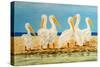 Coastal Flock II-Linda Baliko-Stretched Canvas