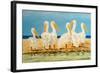 Coastal Flock II-Linda Baliko-Framed Art Print