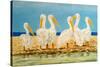 Coastal Flock II-Linda Baliko-Stretched Canvas