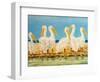 Coastal Flock II-Linda Baliko-Framed Art Print