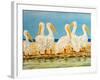 Coastal Flock II-Linda Baliko-Framed Art Print