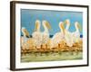 Coastal Flock II-Linda Baliko-Framed Art Print