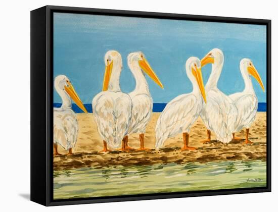 Coastal Flock II-Linda Baliko-Framed Stretched Canvas