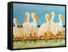 Coastal Flock II-Linda Baliko-Framed Stretched Canvas