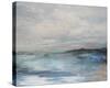 Coastal Flow-Paul Duncan-Stretched Canvas