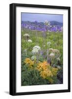 Coastal Flowers at Montara Beach, California-Vincent James-Framed Photographic Print