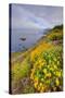 Coastal Flowerscape, Carmel-Vincent James-Stretched Canvas