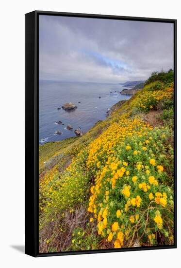 Coastal Flowerscape, Carmel-Vincent James-Framed Stretched Canvas