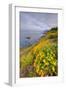 Coastal Flowerscape, Carmel-Vincent James-Framed Photographic Print