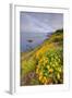 Coastal Flowerscape, Carmel-Vincent James-Framed Photographic Print