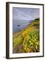 Coastal Flowerscape, Carmel-Vincent James-Framed Photographic Print