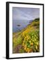 Coastal Flowerscape, Carmel-Vincent James-Framed Photographic Print