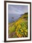 Coastal Flowerscape, Carmel-Vincent James-Framed Photographic Print
