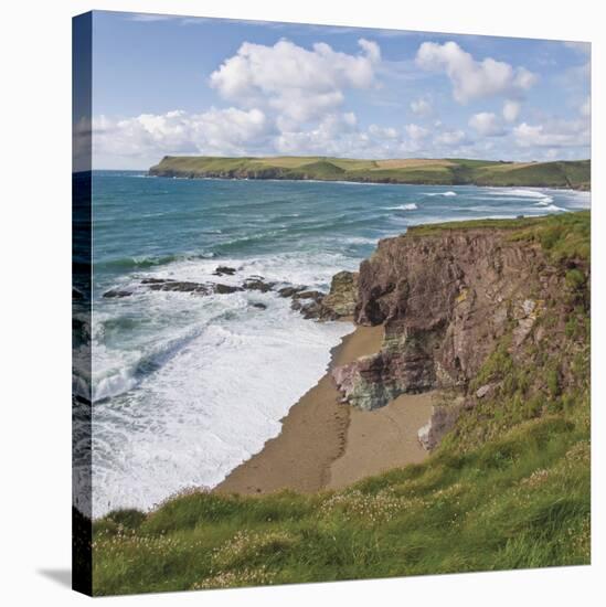 Coastal Footpath Between Haymer Bay Rock and Polzeath, Cornwall, England, United Kingdom, Europe-David Hughes-Stretched Canvas