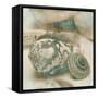 Coastal Gems I-John Seba-Framed Stretched Canvas