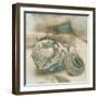 Coastal Gems I-John Seba-Framed Art Print
