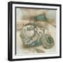 Coastal Gems I-John Seba-Framed Art Print