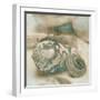 Coastal Gems I-John Seba-Framed Art Print