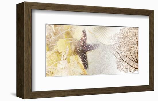 Coastal Gems II-null-Framed Art Print