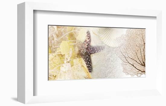 Coastal Gems II-null-Framed Art Print