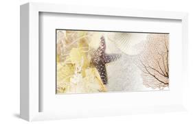 Coastal Gems II-null-Framed Art Print