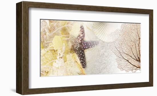 Coastal Gems II-null-Framed Art Print