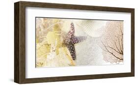 Coastal Gems II-null-Framed Art Print