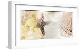 Coastal Gems II-null-Framed Art Print